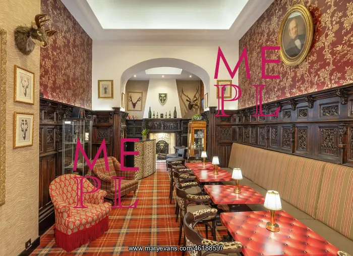 : Horse Guard Bar, Hotel West End, Nice, Provence, France : Horse Guard Bar, Hotel West End, Nice, Provence, France