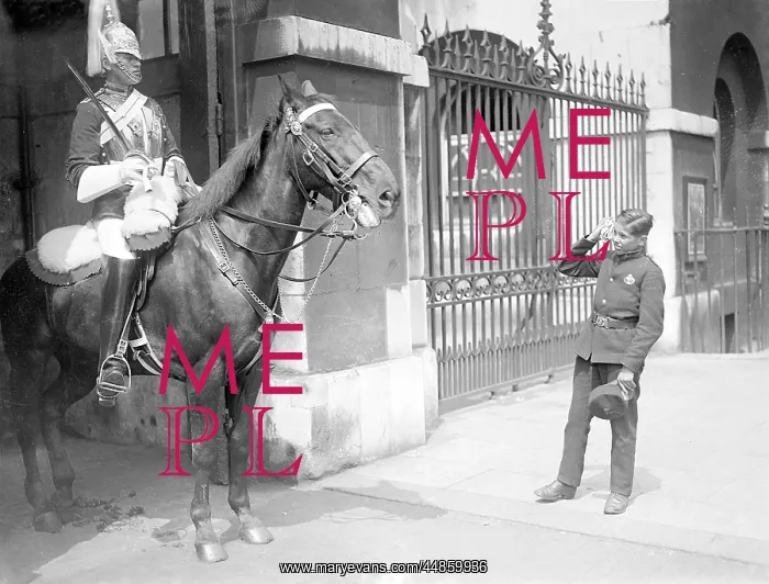 : Horse Guards Parade : Horse Guards Parade