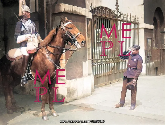: Horse Guards Parade : Horse Guards Parade
