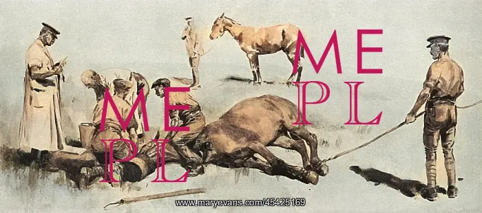 : Horse having operation under chloroform, WW1 : Horse having operation under chloroform, WW1
