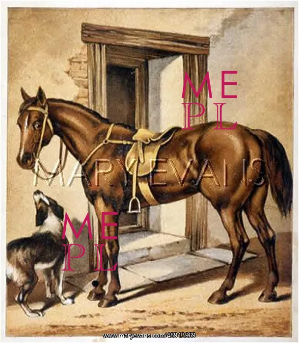  : HORSE / HUNTER C1880