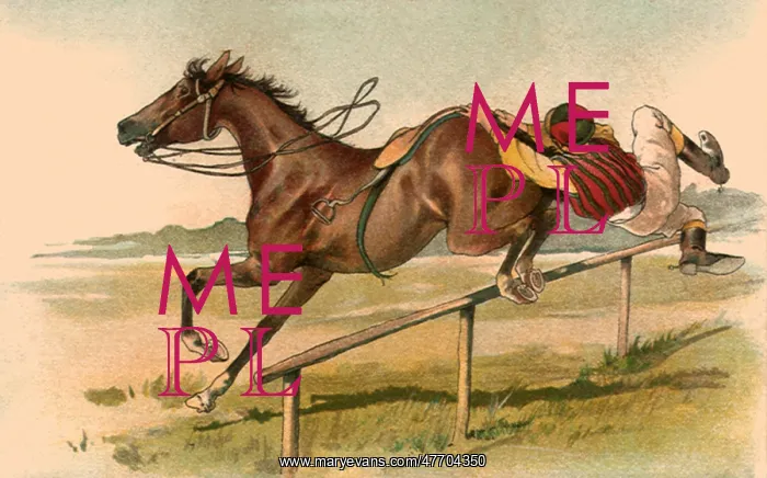  : Horse Jumps Almost Solo