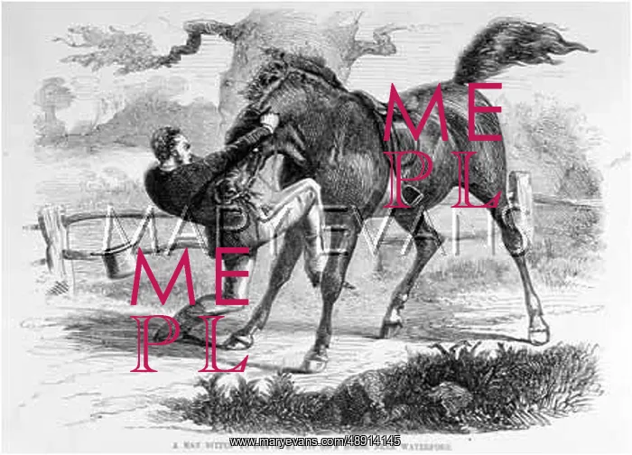: HORSE KILLS OWNER 1870 : HORSE KILLS OWNER 1870