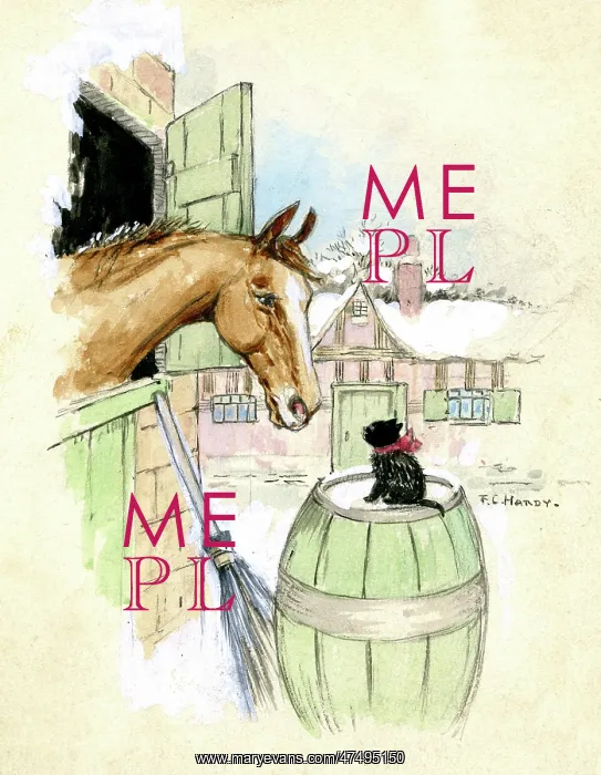: Horse and kitten looking at each other : Horse and kitten looking at each other