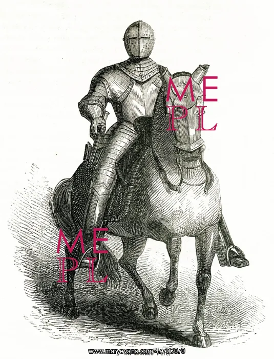 : Horse and knight in amour : Horse and knight in amour