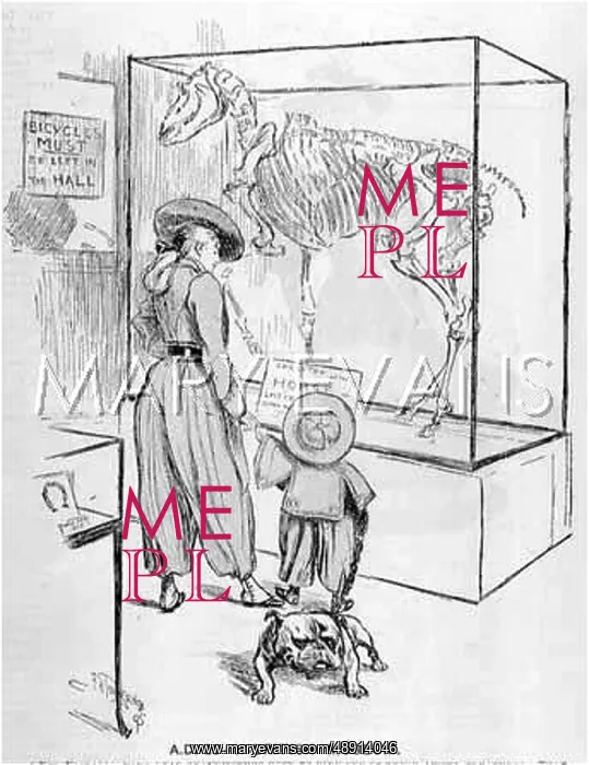 : HORSE AS MUSEUM PIECE : HORSE AS MUSEUM PIECE