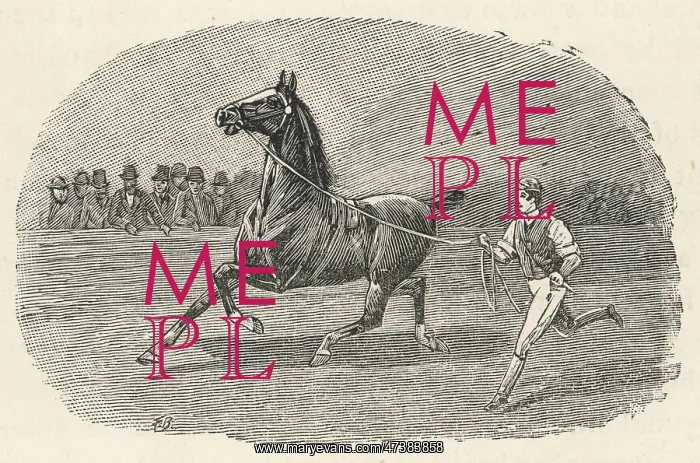 : HORSE PUT THROUGH PACES : HORSE PUT THROUGH PACES