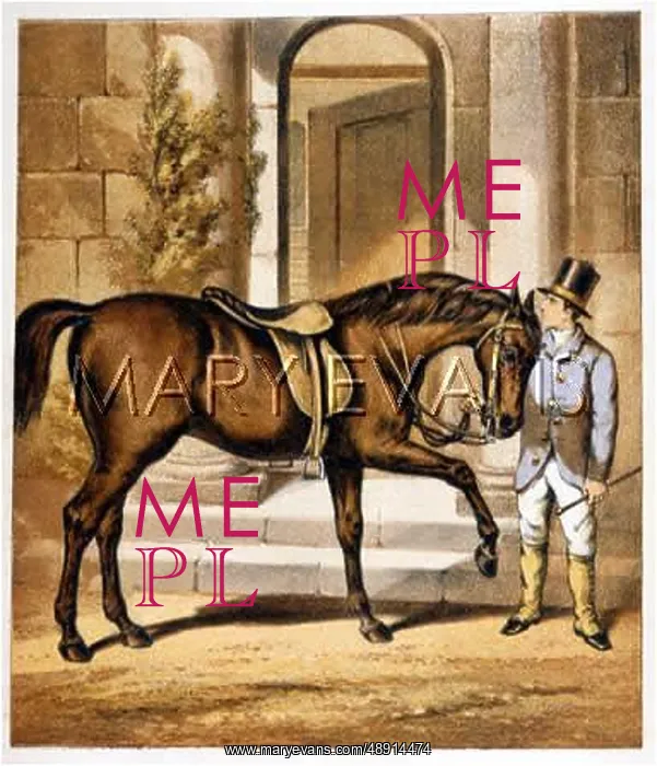 : HORSE PARK HACK C1880 : HORSE PARK HACK C1880
