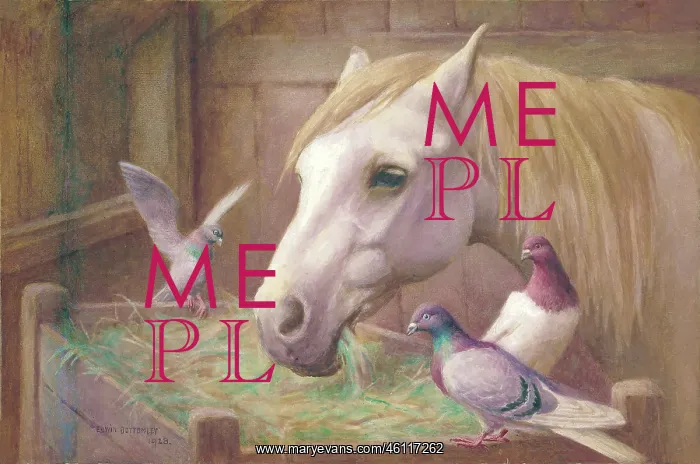  : Horse and pigeons