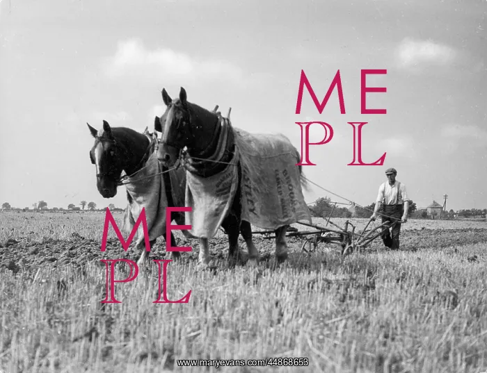 : HORSE PLOUGH : HORSE PLOUGH
