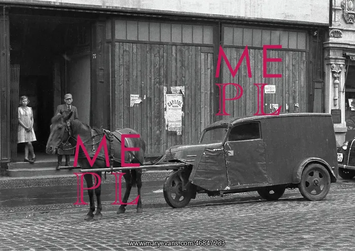 : Horse pulling a vehicle : Horse pulling a vehicle
