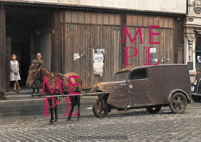 : Horse pulling a vehicle : Horse pulling a vehicle