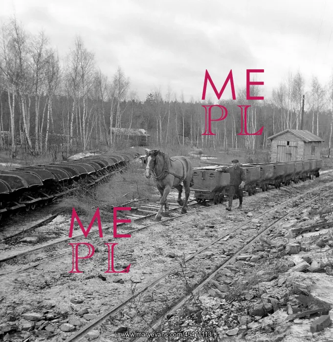: Horse pulls heavy mine vehicles : Horse pulls heavy mine vehicles