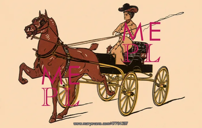  : Horse Pulls Trap