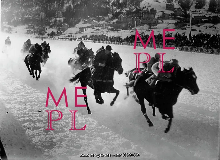 : Horse race : Horse race