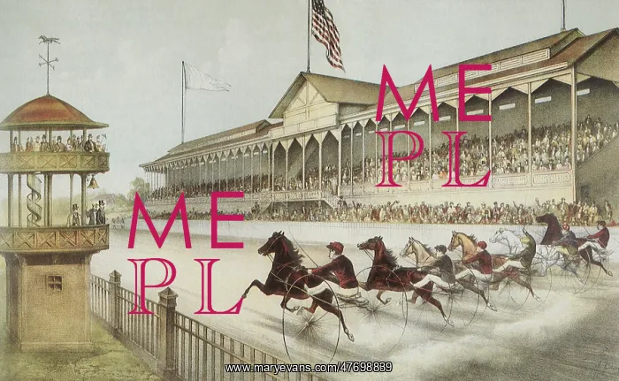  : Horse Race
