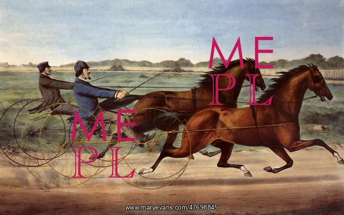  : Horse Race