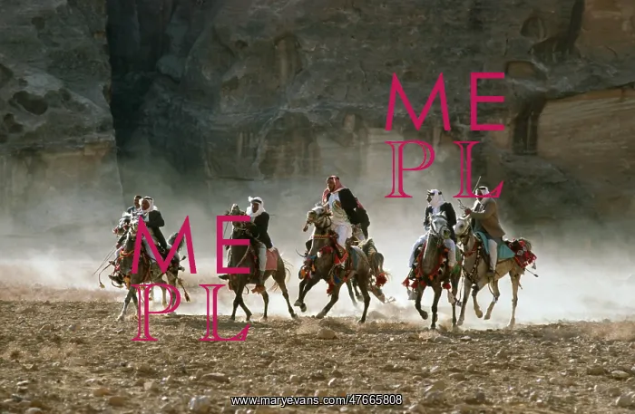 : Horse race, Jordan - 5 : Horse race, Jordan - 5