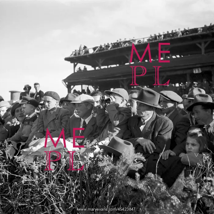 : Horse race - spectators : Horse race - spectators