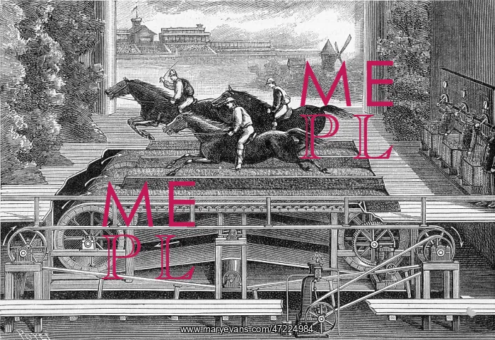 : HORSE RACE ON STAGE : HORSE RACE ON STAGE