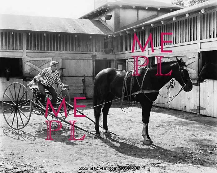 : Horse racer sitting on the wagon : Horse racer sitting on the wagon