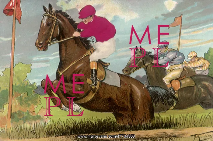  : Horse Races