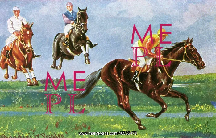 : Horse Racing - Well over : Horse Racing - Well over