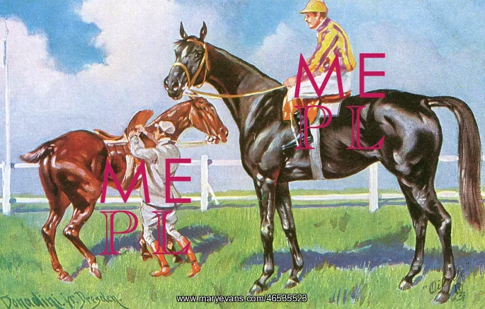 : Horse Racing - Going to the Post : Horse Racing - Going to the Post