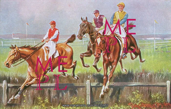 : Horse Racing - The Last Hedge : Horse Racing - The Last Hedge