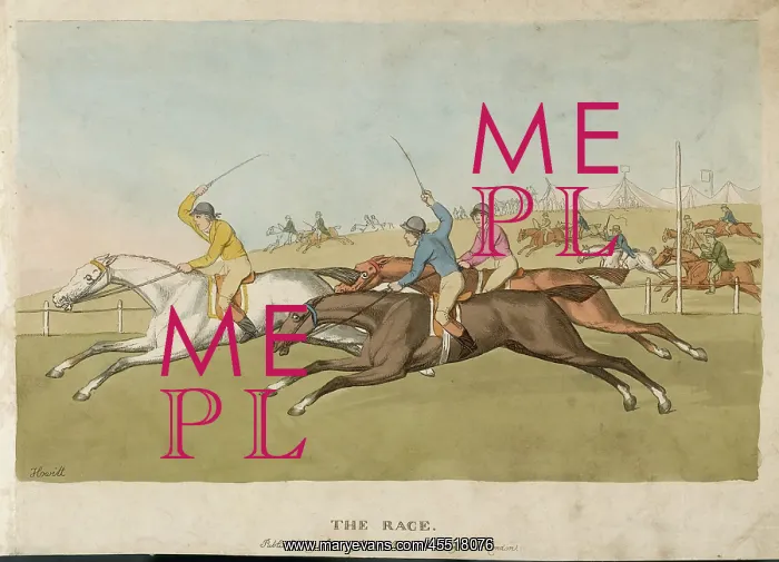 : HORSE RACING / HOWITT : HORSE RACING / HOWITT