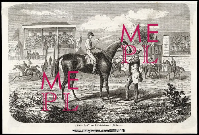: Horse Racing - Melbourne : Horse Racing - Melbourne