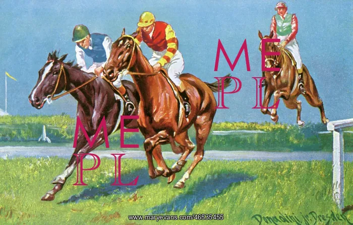 : Horse Racing - Neck and Neck : Horse Racing - Neck and Neck