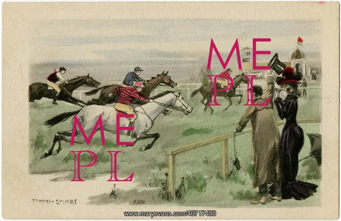 : Horse racing in The Netherlands : Horse racing in The Netherlands