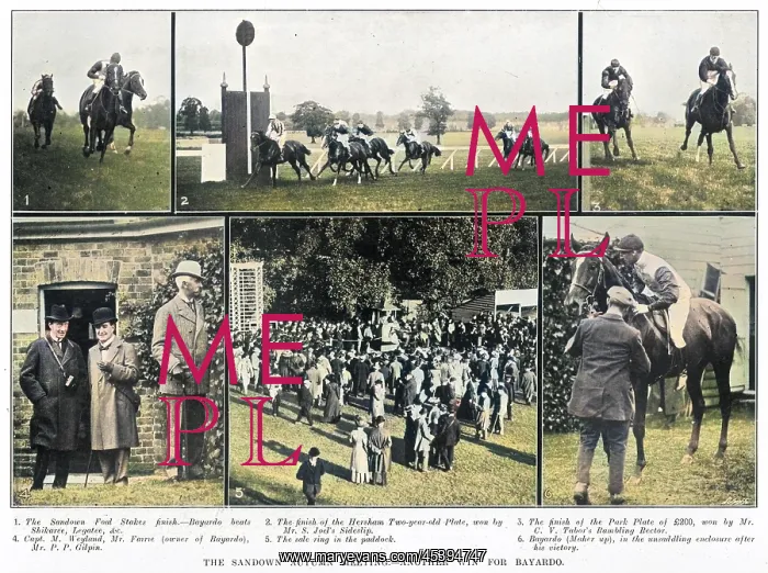 : Horse racing at Sandown : Horse racing at Sandown