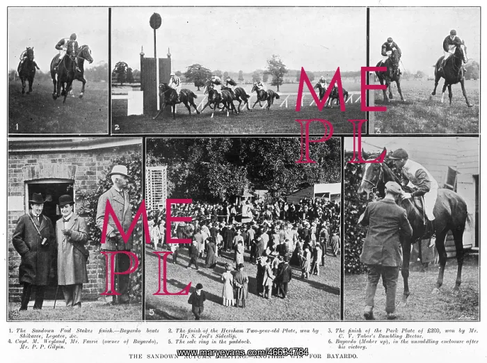 : Horse racing at Sandown : Horse racing at Sandown