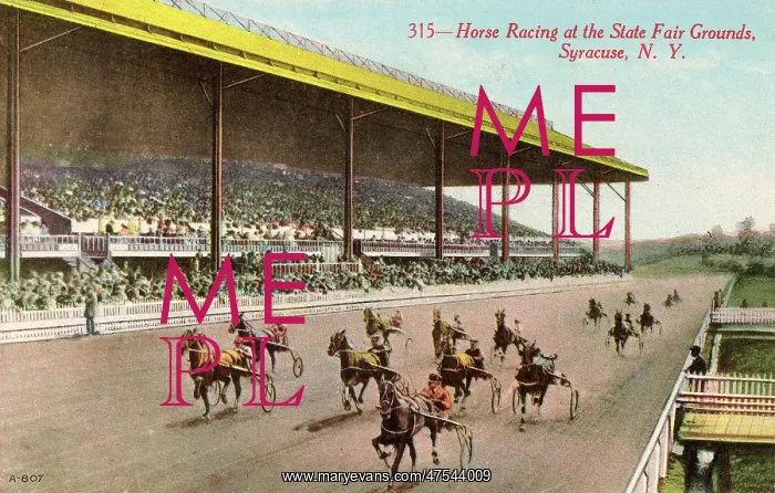 : Horse Racing at the State Fair Grounds, Syracuse : Horse Racing at the State Fair Grounds, Syracuse