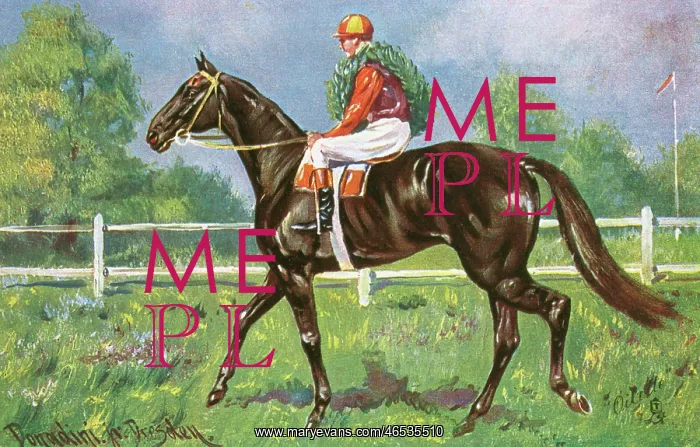 : Horse Racing - Won in a Canter : Horse Racing - Won in a Canter