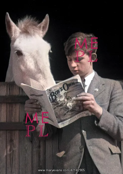 : Horse reading over boy's shoulder : Horse reading over boy's shoulder