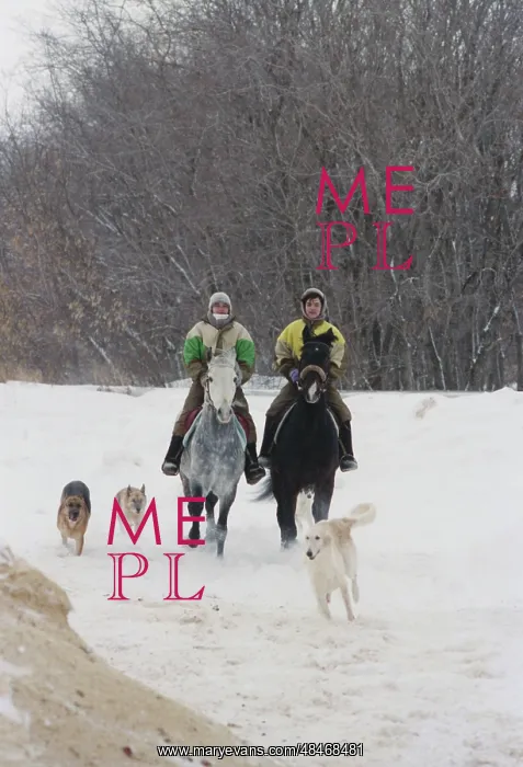 : Horse Ride : Horse Ride