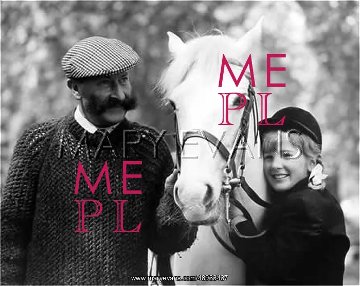 : HORSE AND RIDER : HORSE AND RIDER