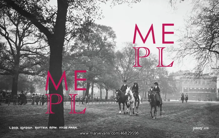 : Horse Riders in Hyde Park : Horse Riders in Hyde Park