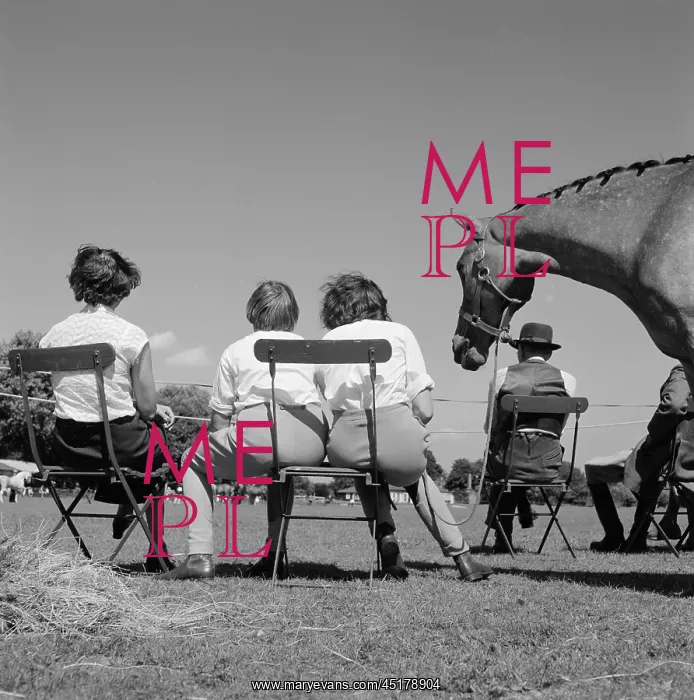 : Horse riding : Horse riding
