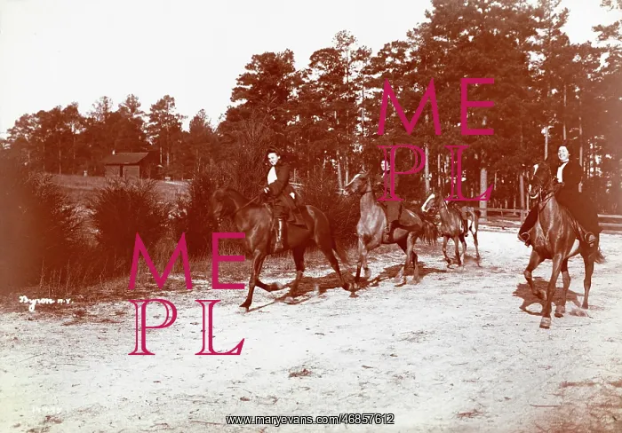 : Horse riding in America
