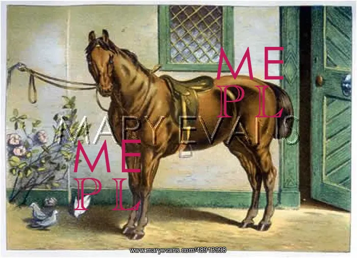  : HORSE / ROADSTER 1899