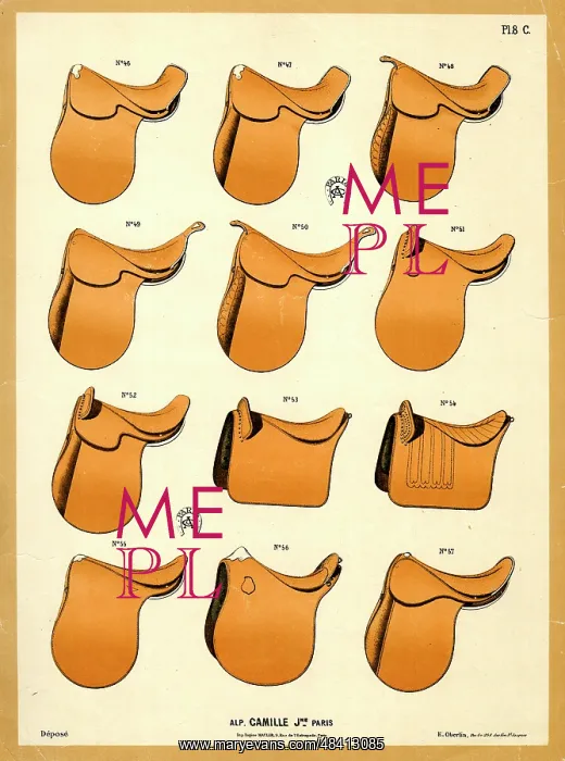  : Horse saddles, Camille, Paris