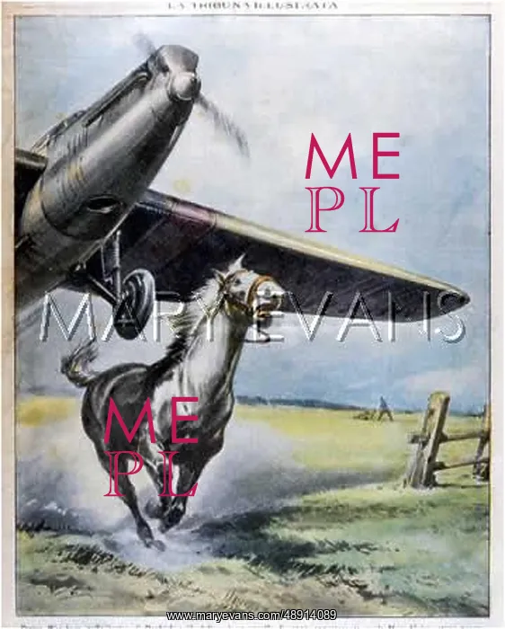 : HORSE SCARED BY PLANE : HORSE SCARED BY PLANE