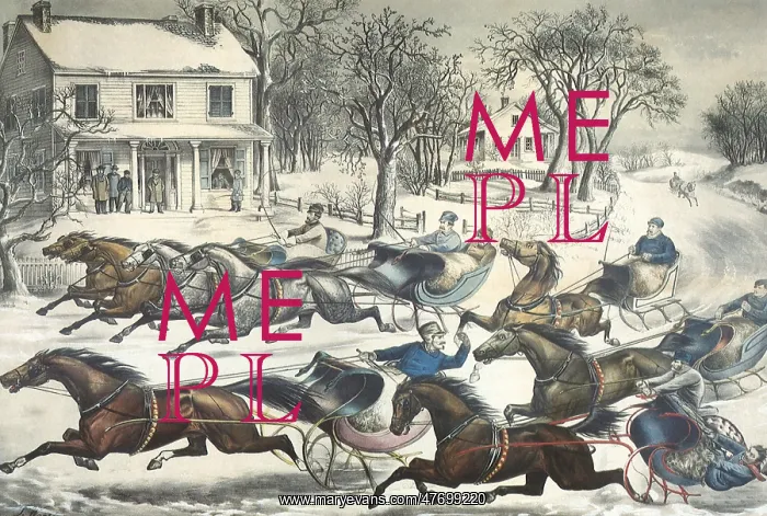  : Horse Sled Race