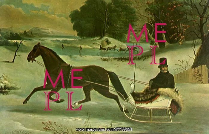: Horse and Sleigh : Horse and Sleigh