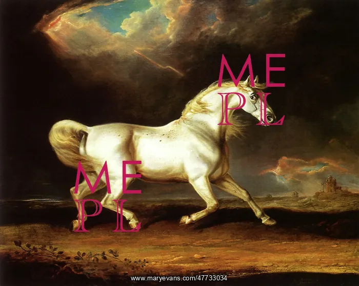  : Horse Spooked by Storm