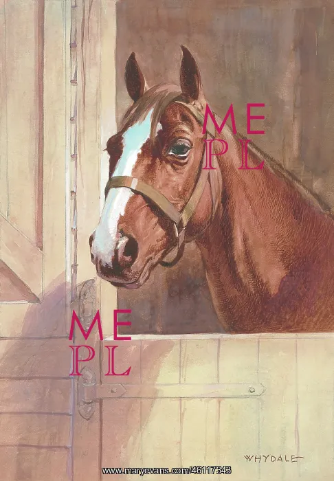  : Horse in stable